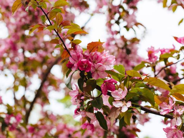 Ośrodek Wypoczynkowy Maria
