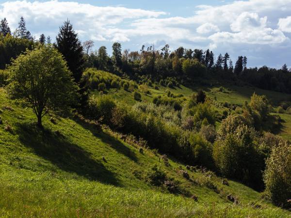 Ośrodek Wypoczynkowy Maria