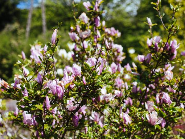 Ośrodek Wypoczynkowy Maria