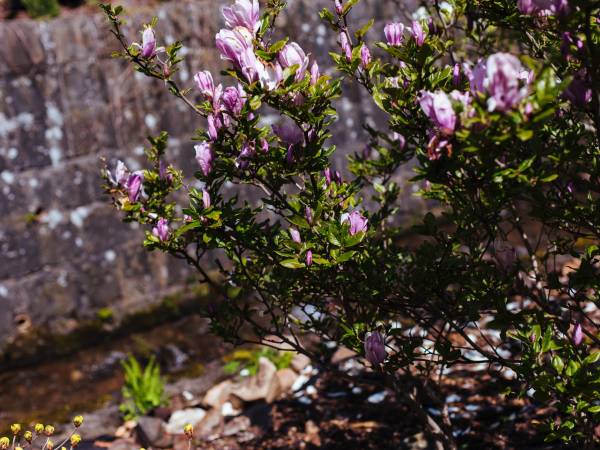 Ośrodek Wypoczynkowy Maria