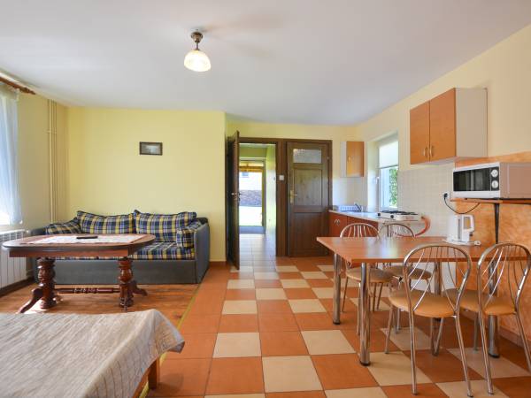 Salon z aneksem kuchennym