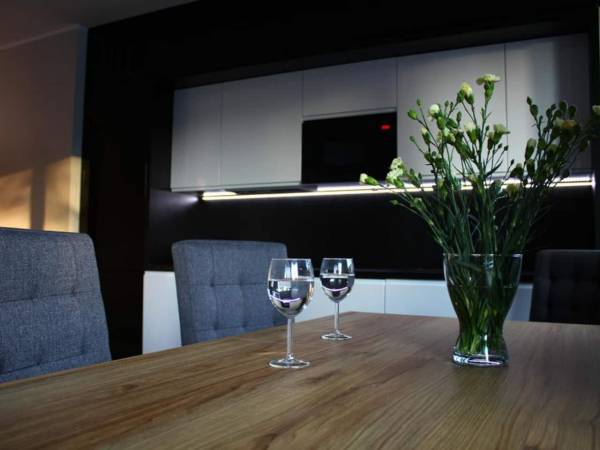 salon z aneksem kuchennym 