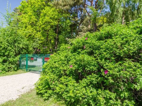 Domki Bliźniaki Dla Rodzin (Akceptujemy Niegroźne Pieski) 