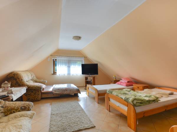 DOMEK NAD SANEM BIESZCZADY