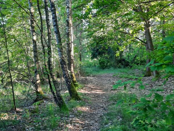 Domki nad Kukówkiem