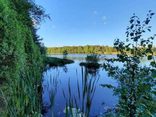 Domki nad Kukówkiem