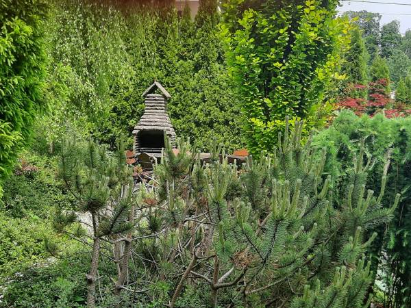 Pokoje Gościnne Szyszka