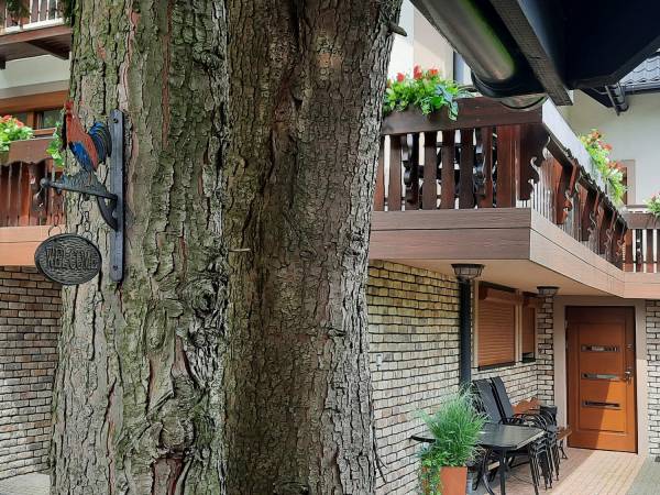 Dom Gościnny Szyszka