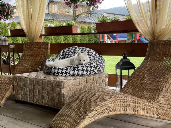 Gościniec Nad Suchą Wodą