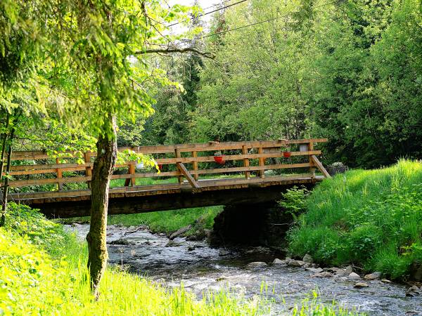 Czarna Woda przy domkach