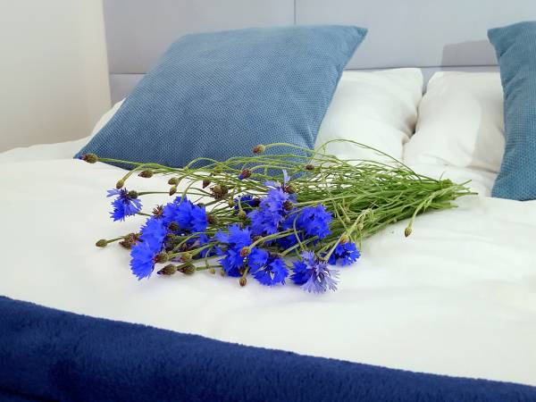 Domki Lilia Sarbinowo