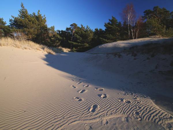 Village 2 Hel -pokoje i przyczepy kempingowe pośród sosen.