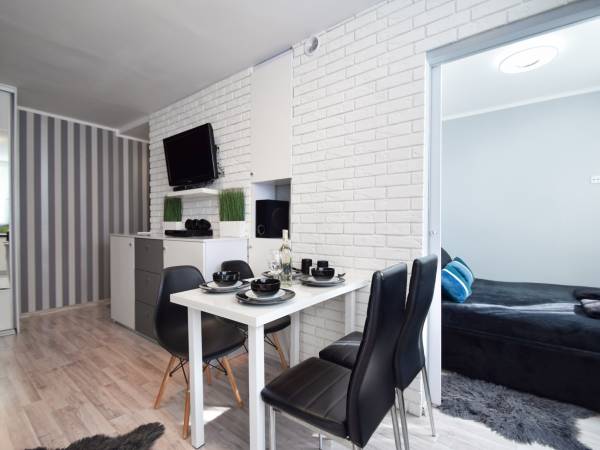 Mieszkanie w centrum