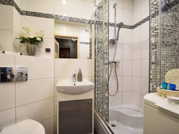 Mieszkanie w centrum