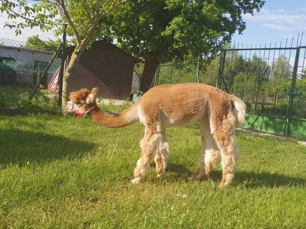 Gospodarstwo Agroturystyczne Zacisze