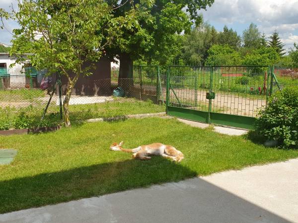 Gospodarstwo Agroturystyczne Zacisze