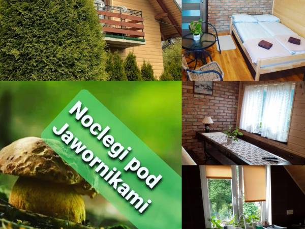 Noclegi pod Jawornikami