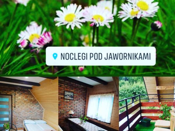 Noclegi pod Jawornikami