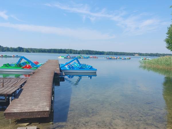 Domki Letniskowe I Apartamenty Galapagos 