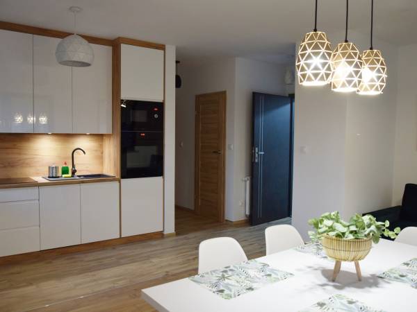 Salon z kuchnią w apartamencie Górski Potok 