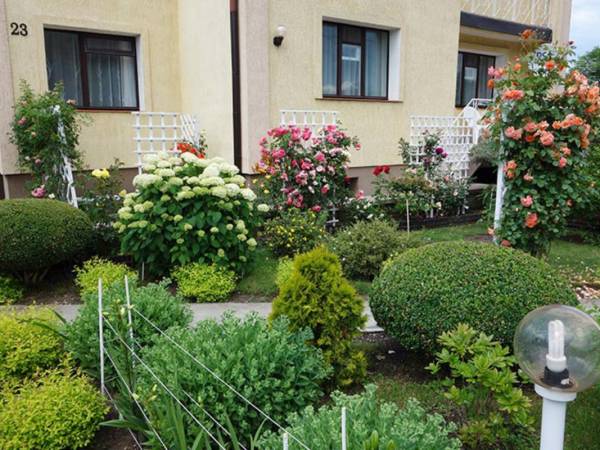 Dom Gościnny AGA w pobliżu jeziora i lasu