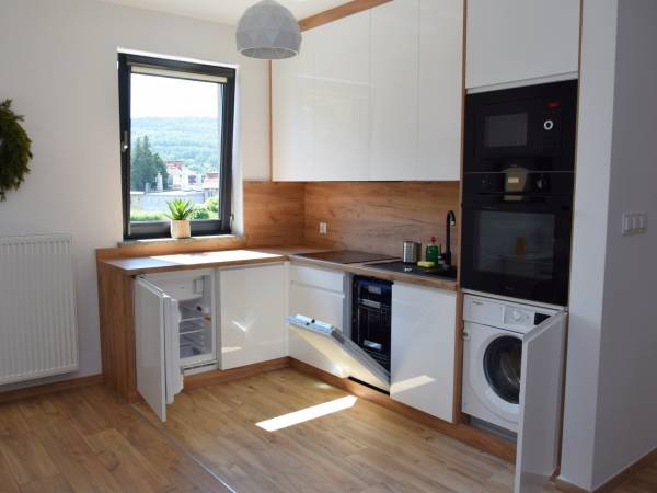 Kuchnia w apartamencie Szum Lasu 