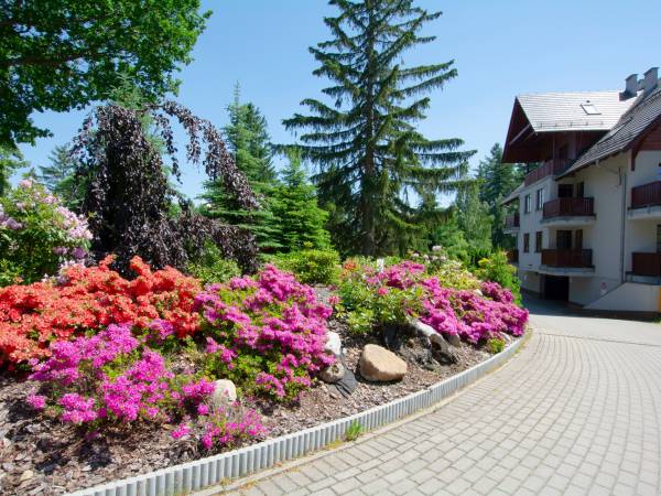 Apartament Polana Karpacz