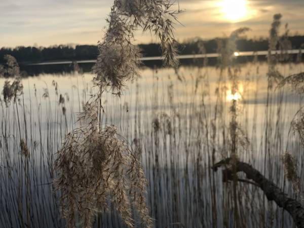 działka nad jeziorem