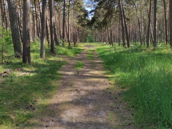 Apartament Navy Blue