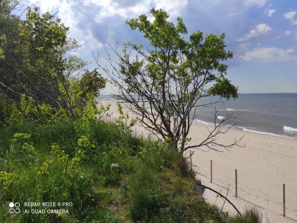 Apartament Navy Blue