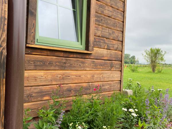 przedogródek mazurski