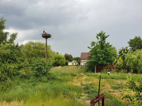 Domki do wynajęcia - Pod Bocianami 