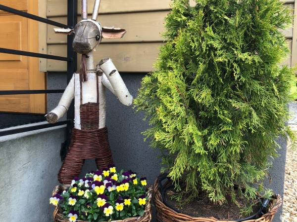 Apartamenty Chabrów 4