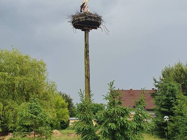 Domki do wynajęcia - Pod Bocianami 