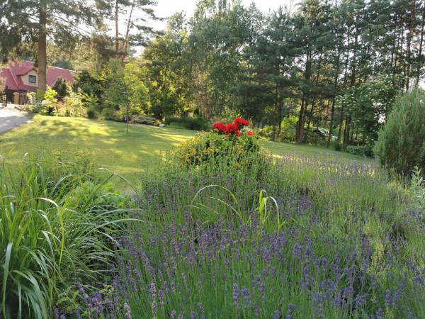 Zakątek nad Dyminem