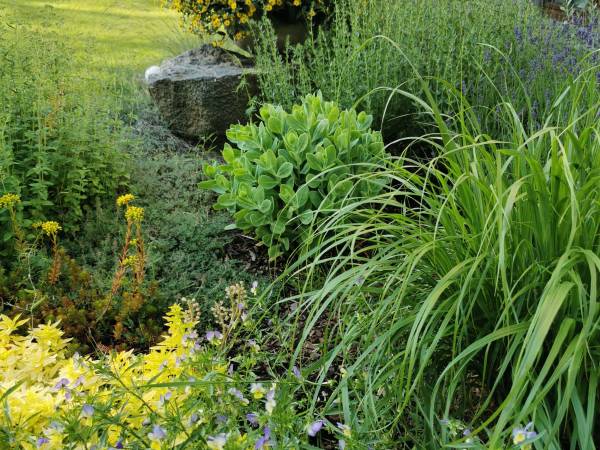 Zakątek nad Dyminem