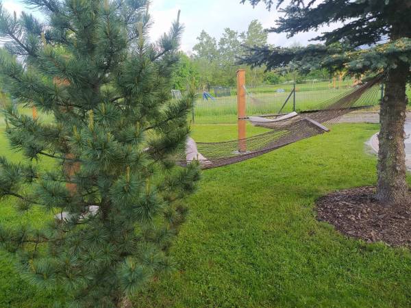 VILLA TEDDY dom na wyłączność