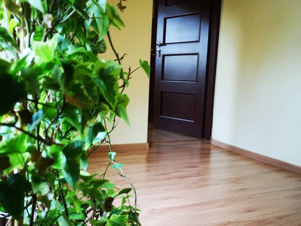 Pokoje gościnne - Małgorzata Rak