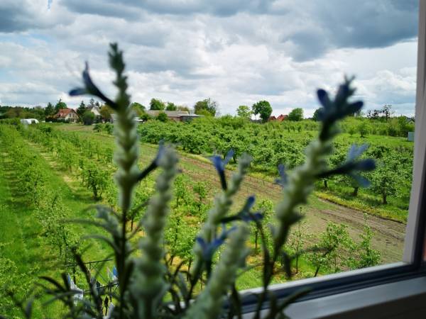 Pokoje gościnne - Małgorzata Rak