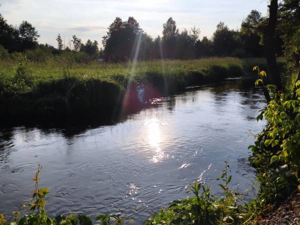 Całoroczne domki Dolina Roztocza