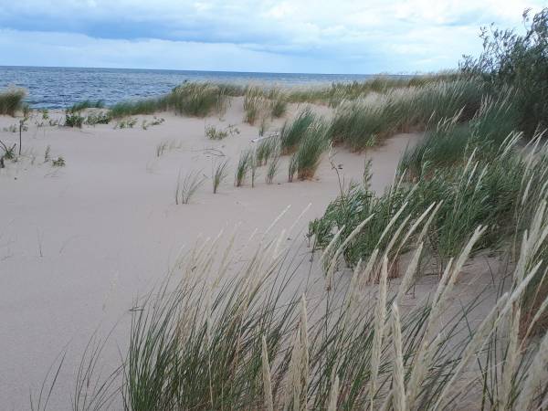 Plaża na Wyspie Sobieszewskiej