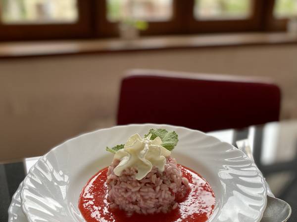 Ośrodek Wypoczynkowy Maria