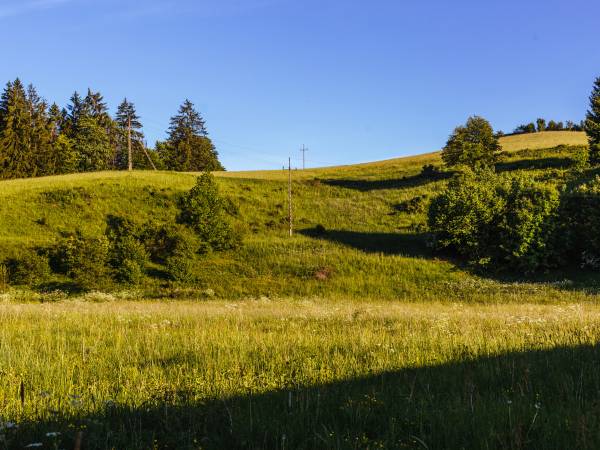 Ośrodek Wypoczynkowy Maria