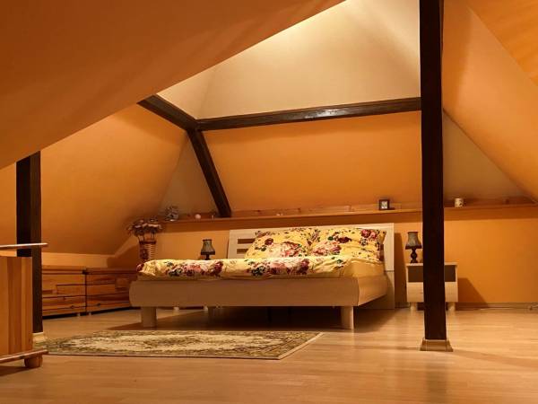 Dwupoziomowy Apartament w centrum z aneksem kuchennym 