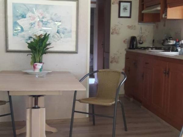 Domek holenderski nr 1