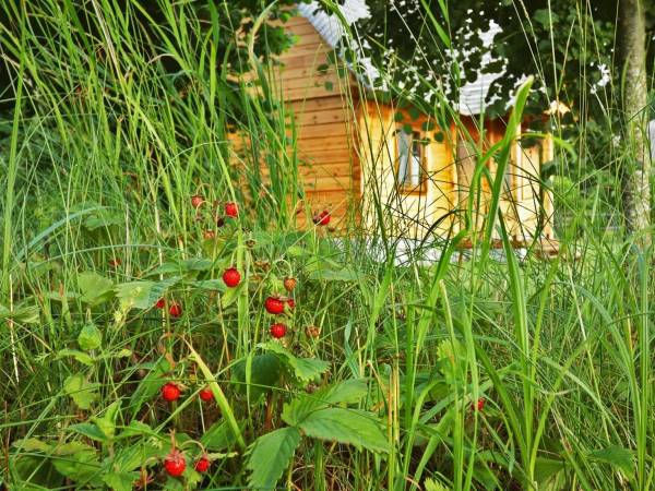 Dom na Końcu Tęczy