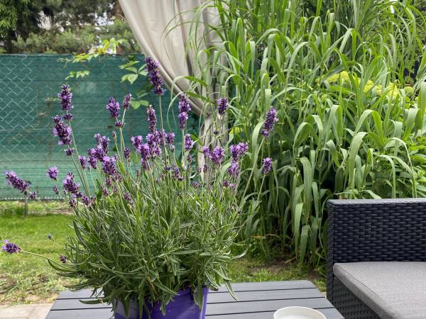 Zacisze Dom Wypoczynkowy