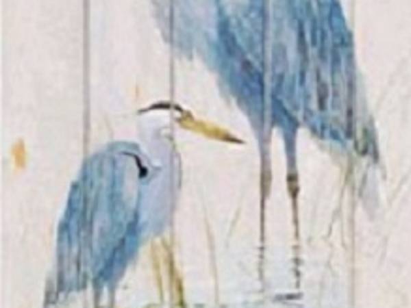 Apartamenty Rodzinne Czapla logo