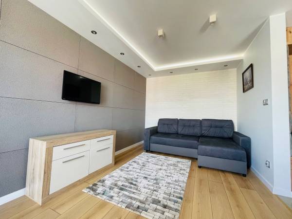 Salon z rozkładaną kanapą.