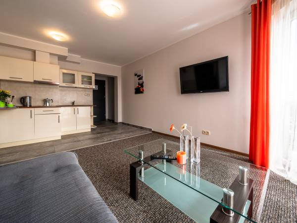 apartament - pokój dzienny z aneksem